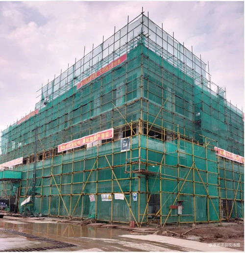 預計達產(chǎn)后年產(chǎn)值達30億元 提供約5000個就業(yè)崗位 肇慶這個項目有新進展