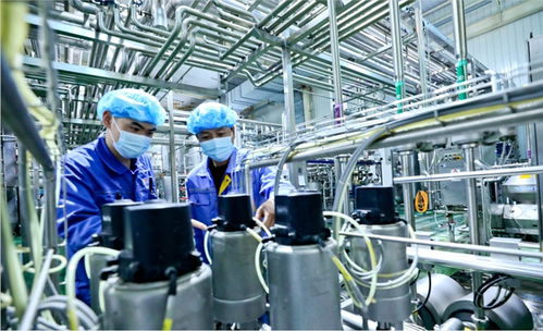 用新質生產(chǎn)力破解乳業(yè)困局 甘肅前進集團傳祁甘味乳業(yè)新型乳制品走俏市場