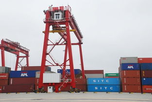 山東到?？趪鴥?nèi)集裝箱海運專線運輸公司