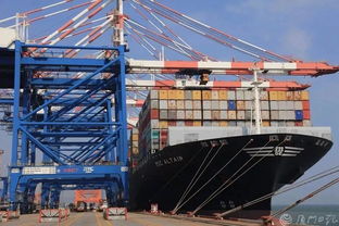 剛剛,廈門(mén)曬出上半年經(jīng)濟(jì) 成績(jī)單 這些數(shù)據(jù)亮了