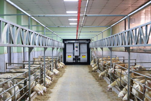 農(nóng)業(yè)“雙強”行動結碩果，浙江農(nóng)業(yè)生產(chǎn)更高效，集裝箱租賃助力產(chǎn)業(yè)升級